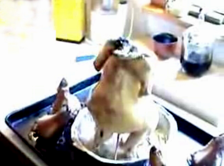 Roasted Chicken With Pears Recipe Video